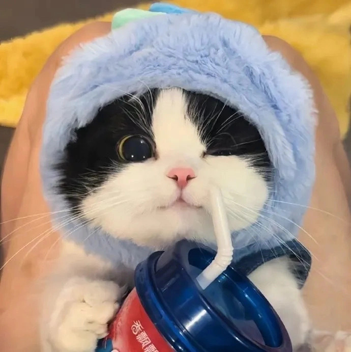 admin的头像-小创项目网