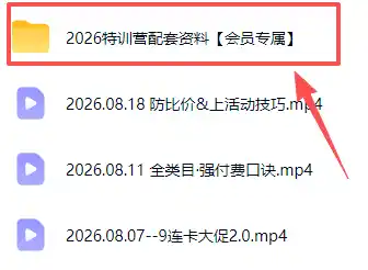 拼多多实战特训营(更新26年0821-小创项目网