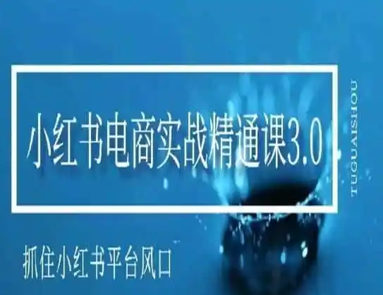 小红书电商实战精通课3.0，抓住小红书平台的风口，不错过有一个赚钱的机会-小创项目网