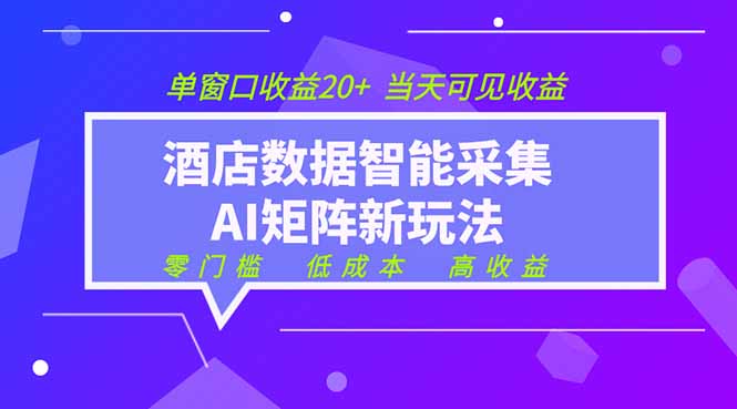 2026酒店数据采集ai智能矩阵新风口 低成本 高收益 当天见收益 单窗口20+-小创项目网
