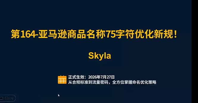亚马逊跨境实战课：全品类选品逻辑｜SP/SB/SD广告精细化｜新品打爆旺季爆单全套运营教程-小创项目网