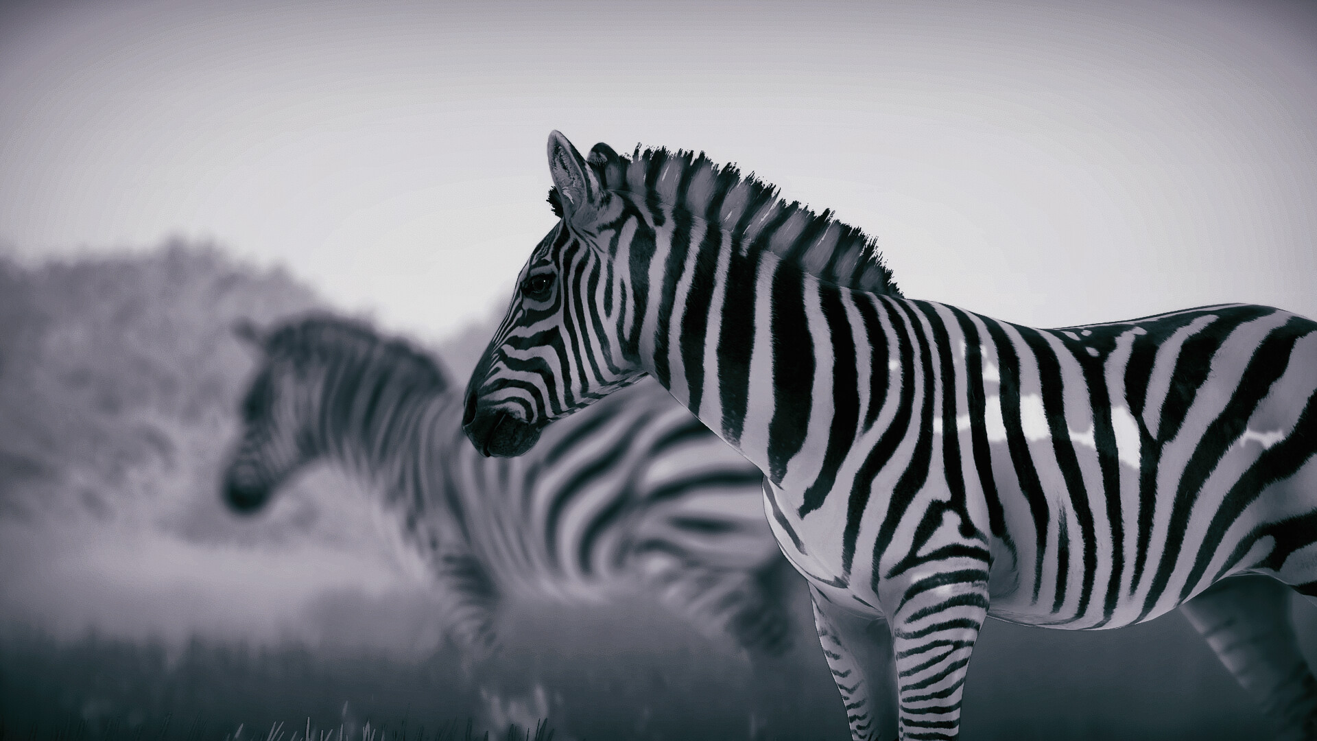 幽居之境/Seclusa