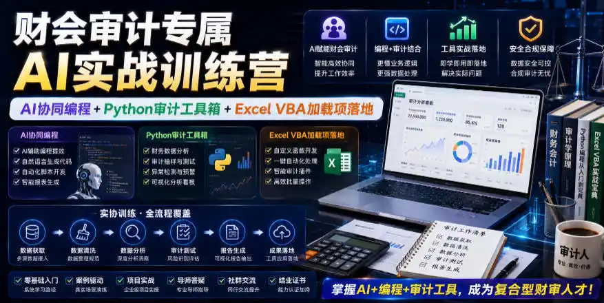 财会审计专属AI实战训练营｜AI协同编程+Python审计工具箱+Excel VBA加载项落地(更新0816)-小创项目网
