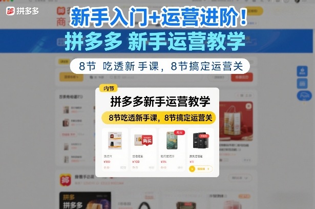 新手入门+运营进阶！拼多多新手运营教学，8节吃透新手课，8节搞定运营关-小创项目网