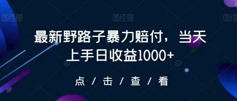 最新野路子暴力赔付，当天上手日收益1000+【仅揭秘】-小创项目网