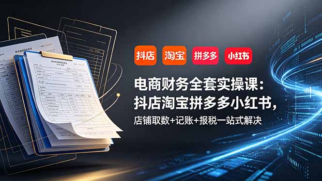 电商财务全套实操课：抖店淘宝拼多多小红书，店铺取数+记账+报税一站式解决-小创项目网