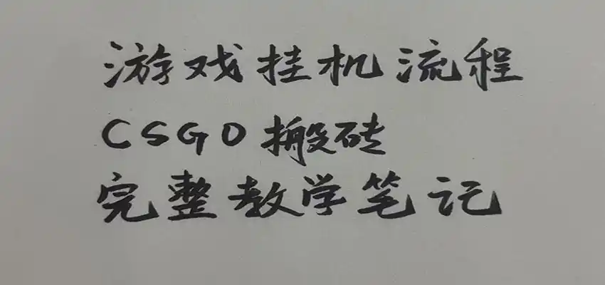 游戏挂机全流程笔记分享，CSGO游戏搬砖，小白看了当天学会见收益-小创项目网