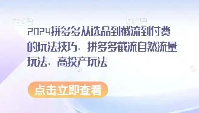 2024拼多多从选品到截流到付费的玩法技巧，拼多多截流自然流量玩法，高投产玩法-小创项目网