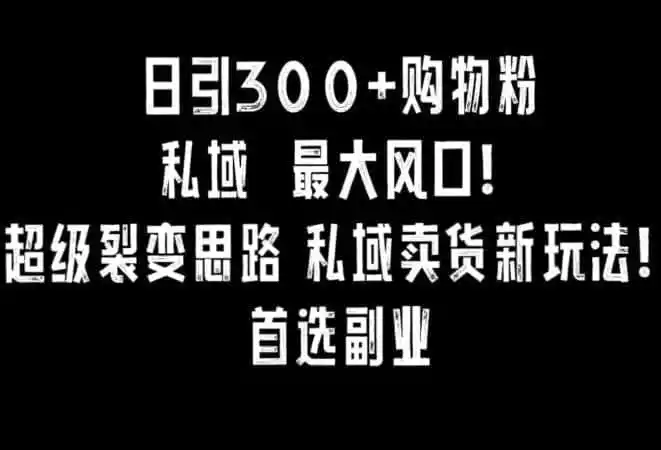 日引300+购物粉，超级裂变思路，私域卖货新玩法，小红书首选副业【揭秘】-小创项目网