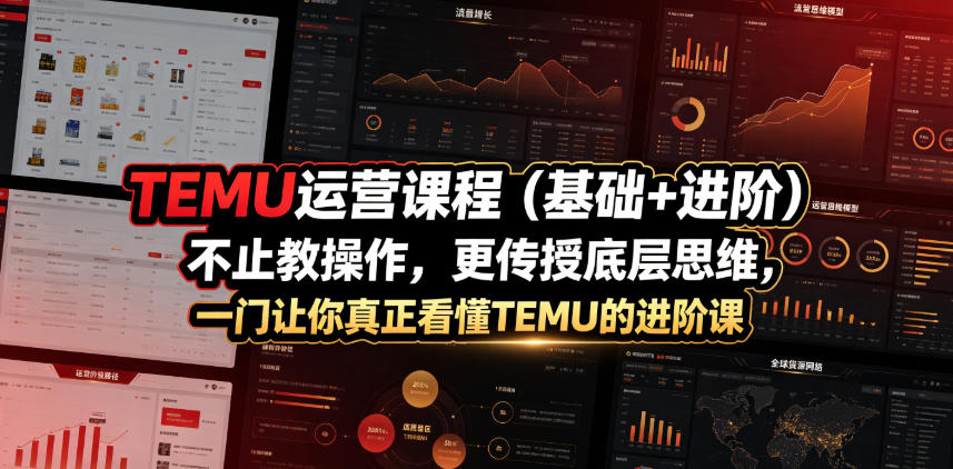 TEMU运营课程(基础+进阶)，不止教操作，更传授底层思维，一门让你真正看懂TEMU的进阶课-小创项目网