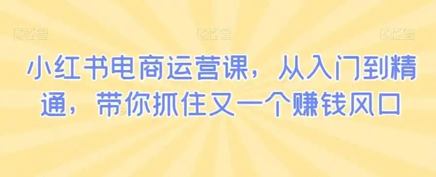 小红书电商运营课，从入门到精通，带你抓住又一个赚钱风口-小创项目网