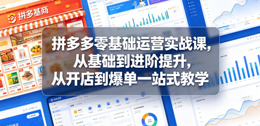 拼多多零基础运营实战课，从基础到进阶提升，从开店到爆单一站式教学-小创项目网