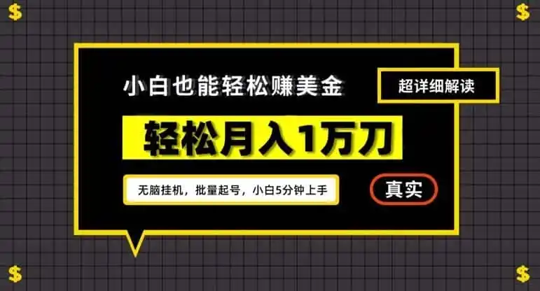 谷歌看广告撸美金2.0，无脑挂机，多号操作，月入1万刀【揭秘】-小创项目网
