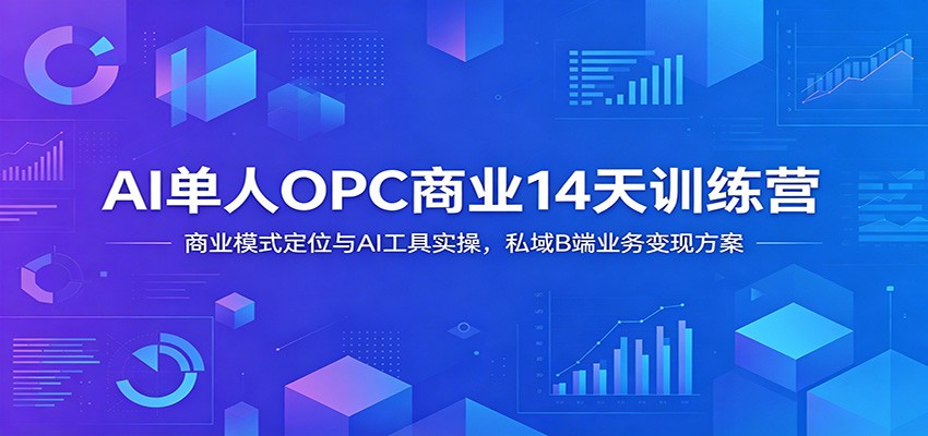 AI单人OPC商业14天训练营:商业模式定位与AI工具实操,私域B端业务变现方案-小创项目网