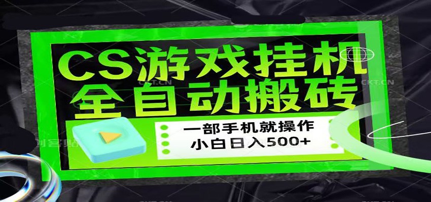 CSGO游戏挂机捡漏搬砖，超稳定的项目，带领1000+小白实现日入500+-小创项目网